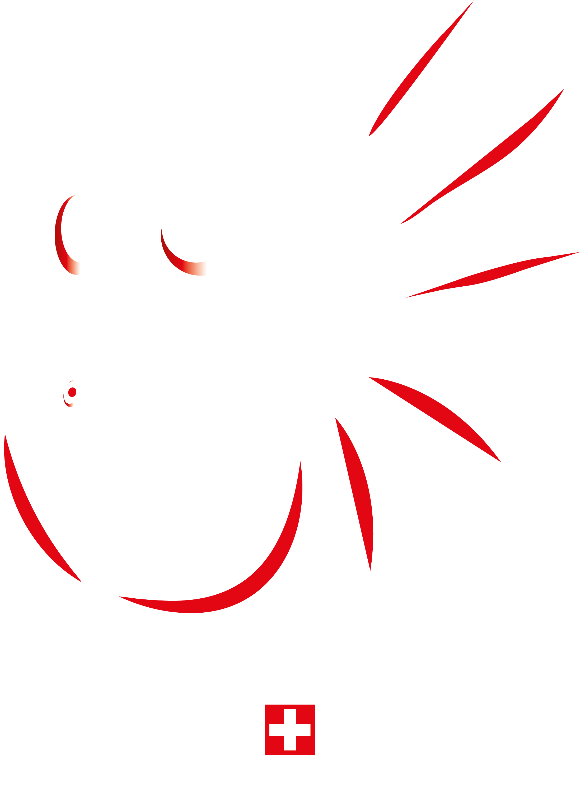 Le logo de Michellod Désinfection